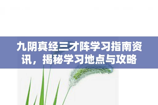 九阴真经三才阵学习指南资讯图片