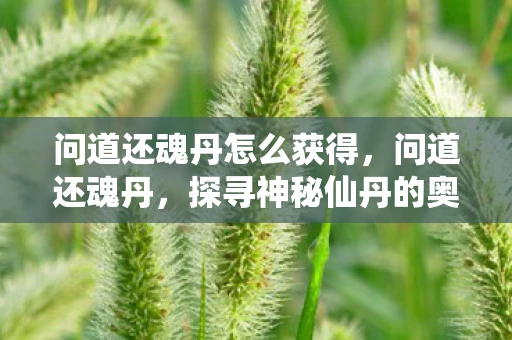 问道还魂丹怎么获得,问道还魂丹,探寻神秘仙丹的奥秘 问道还魂丹怎么获得,问道还魂丹,探寻神秘仙丹的奥秘