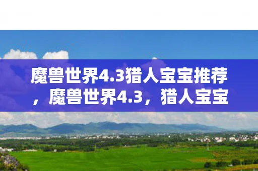 魔兽世界4.3猎人宝宝推荐,魔兽世界4.3,猎人宝宝全解析 魔兽世界4.3猎人宝宝推荐,魔兽世界4.3,猎人宝宝全解析