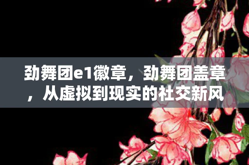 劲舞团e1徽章，劲舞团盖章，从虚拟到现实的社交新风尚
