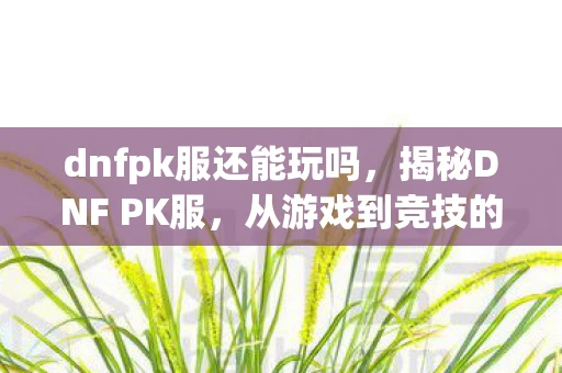 dnfpk服还能玩吗，揭秘DNF PK服，从游戏到竞技的华丽蜕变