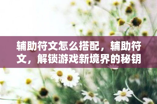 辅助符文怎么搭配,辅助符文,解锁游戏新境界的秘钥 辅助符文怎么搭配,辅助符文,解锁游戏新境界的秘钥