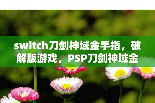 switch刀剑神域金手指,破解版游戏,PSP刀剑神域金手指使用指南 switch刀剑神域金手指,破解版游戏,PSP刀剑神域金手指使用指南