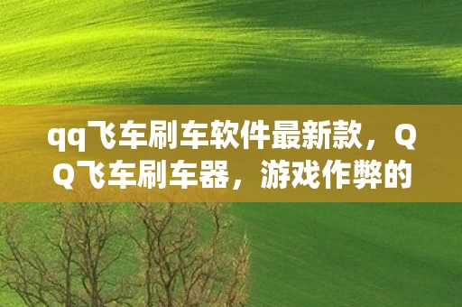 qq飞车刷车软件最新款，QQ飞车刷车器，游戏作弊的灰色地带