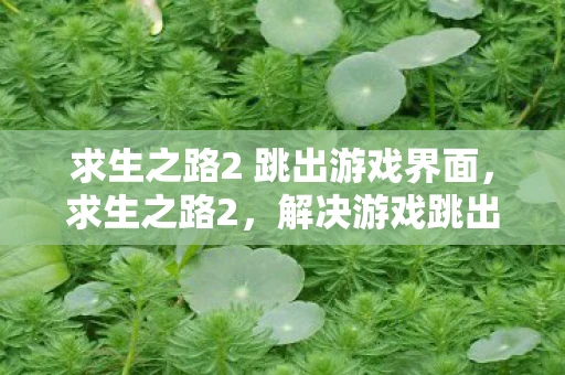 求生之路2 跳出游戏界面，求生之路2，解决游戏跳出的全面指南