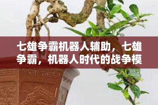 七雄争霸机器人辅助，七雄争霸，机器人时代的战争模拟