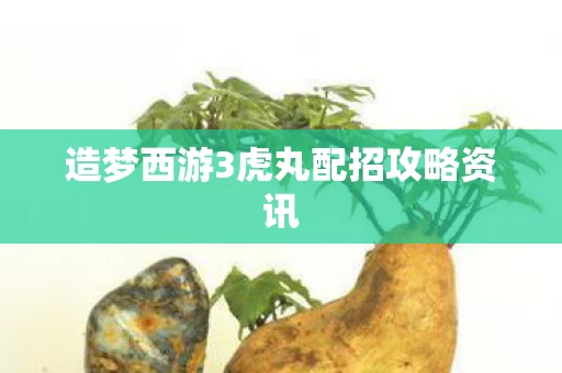 造梦西游3虎丸配招攻略资讯图片