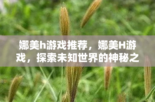 娜美h游戏推荐，娜美H游戏，探索未知世界的神秘之旅