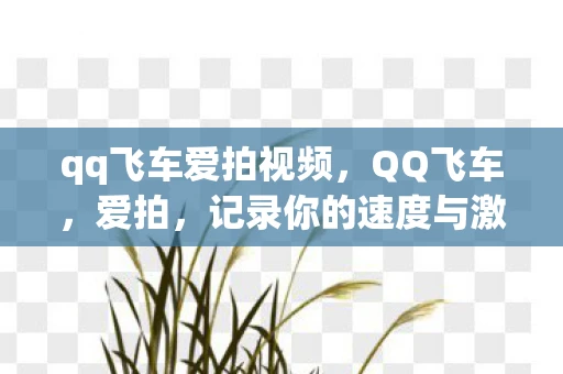 qq飞车爱拍视频，QQ飞车，爱拍，记录你的速度与激情