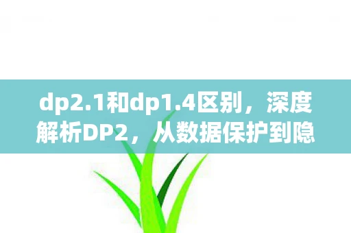 dp2.1和dp1.4区别，深度解析DP2，从数据保护到隐私安全的全面进化