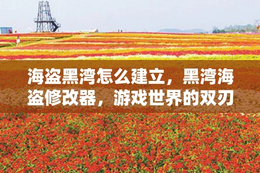 海盗黑湾怎么建立，黑湾海盗修改器，游戏世界的双刃剑