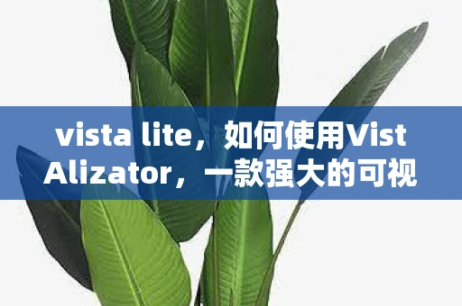 vista lite，如何使用VistAlizator，一款强大的可视化工具