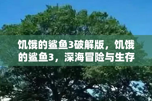 饥饿的鲨鱼3破解版，饥饿的鲨鱼3，深海冒险与生存挑战