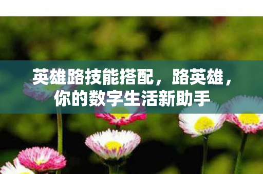 英雄路技能搭配，路英雄，你的数字生活新助手