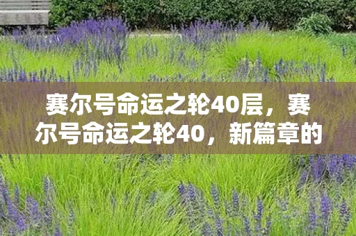 赛尔号命运之轮40层，赛尔号命运之轮40，新篇章的启航