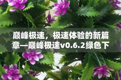 极速体验的新篇章图片