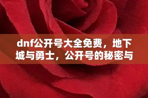 dnf公开号大全免费，地下城与勇士，公开号的秘密与风险
