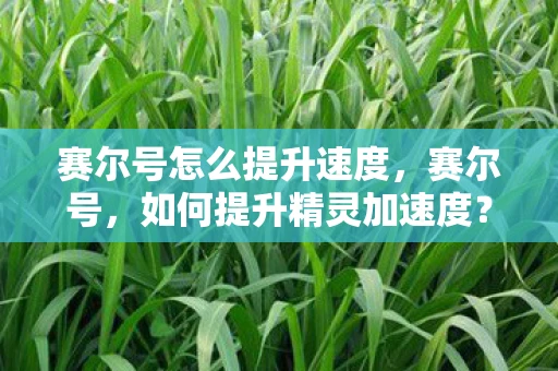 赛尔号怎么提升速度，赛尔号，如何提升精灵加速度？