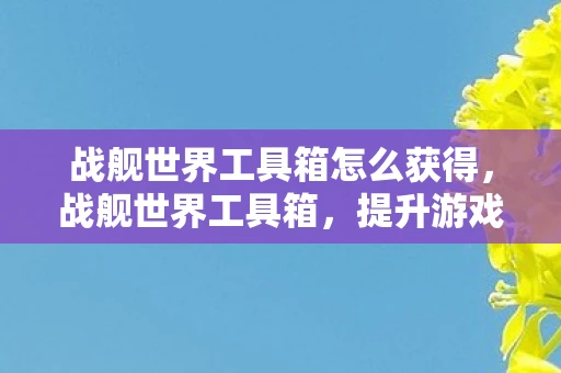 战舰世界工具箱怎么获得,战舰世界工具箱,提升游戏竞技水平的关键工具 战舰世界工具箱怎么获得,战舰世界工具箱,提升游戏竞技水平的关键工具