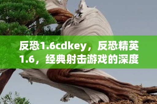 反恐1.6cdkey，反恐精英1.6，经典射击游戏的深度解析与玩法指南