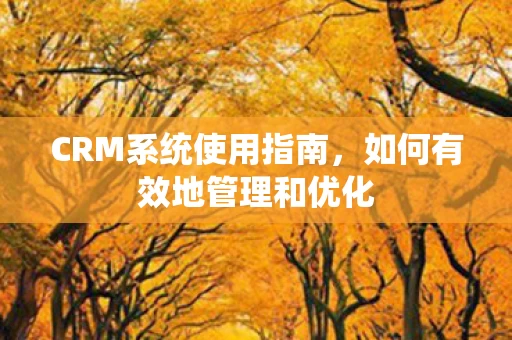 如何有效地管理和优化图片