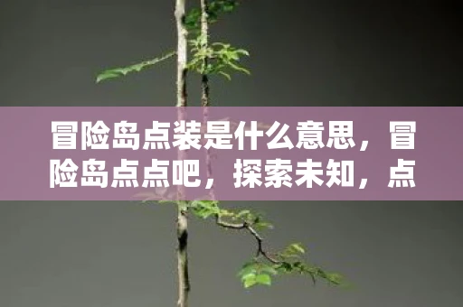 冒险岛点装是什么意思,冒险岛点点吧,探索未知,点亮生活 冒险岛点装是什么意思,冒险岛点点吧,探索未知,点亮生活