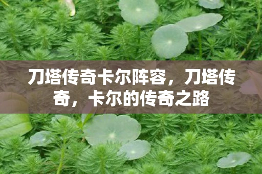刀塔传奇卡尔阵容,刀塔传奇,卡尔的传奇之路 刀塔传奇卡尔阵容,刀塔传奇,卡尔的传奇之路