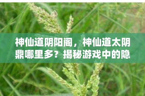 神仙道阴阳阁，神仙道太阴鼎哪里多？揭秘游戏中的隐藏宝藏