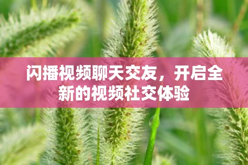 开启全新的视频社交体验图片