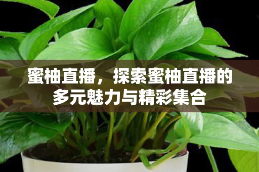 探索蜜柚直播的多元魅力与精彩集合图片