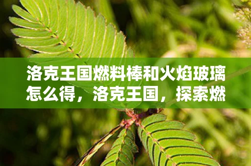 洛克王国燃料棒和火焰玻璃怎么得，洛克王国，探索燃料棒与火焰玻璃的奥秘