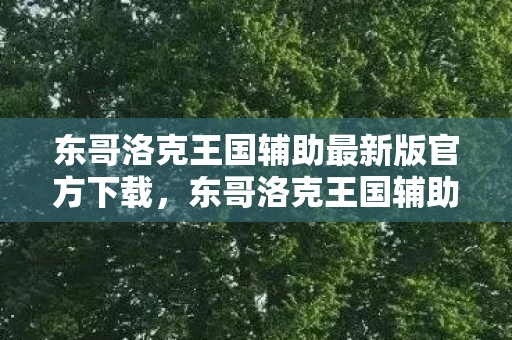 东哥洛克王国辅助最新版官方下载，东哥洛克王国辅助，解锁游戏新境界的必备神器