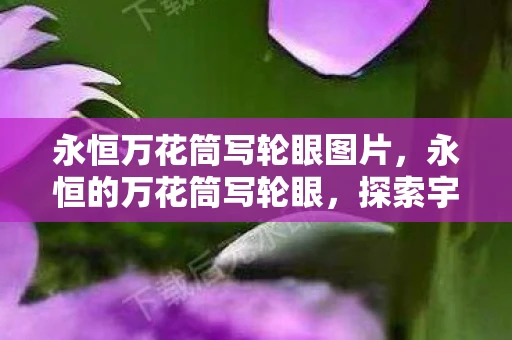 永恒万花筒写轮眼图片，永恒的万花筒写轮眼，探索宇智波一族的神秘力量