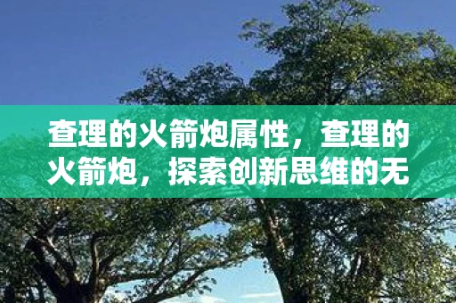 查理的火箭炮属性,查理的火箭炮,探索创新思维的无限可能 查理的火箭炮属性,查理的火箭炮,探索创新思维的无限可能