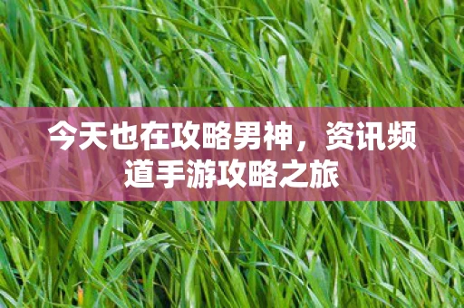 资讯频道手游攻略之旅图片