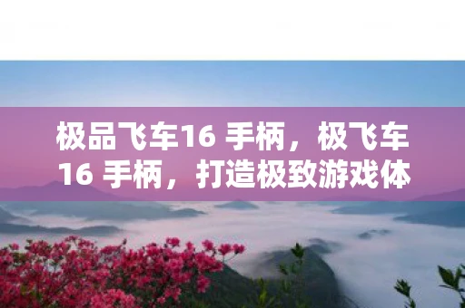 极品飞车16 手柄，极飞车16 手柄，打造极致游戏体验的必备神器