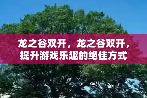 龙之谷双开，龙之谷双开，提升游戏乐趣的绝佳方式