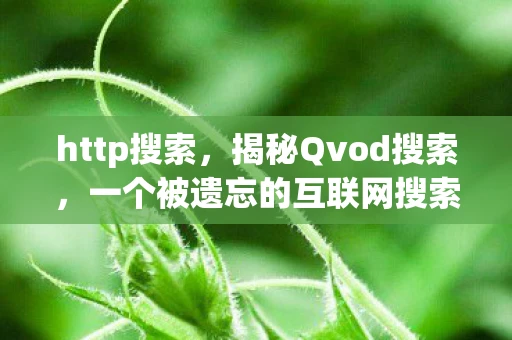 http搜索，揭秘Qvod搜索，一个被遗忘的互联网搜索工具