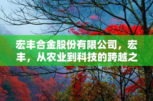 宏丰合金股份有限公司，宏丰，从农业到科技的跨越之路