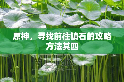 寻找前往镇石的攻略方法其四图片