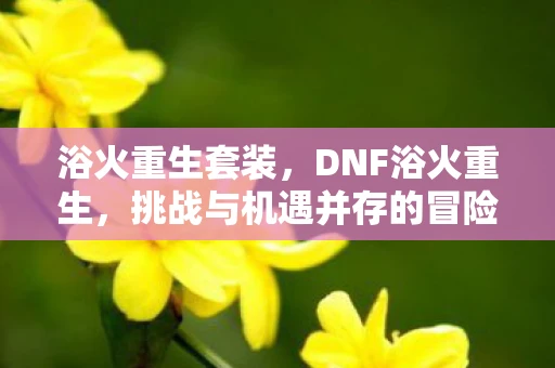 浴火重生套装，DNF浴火重生，挑战与机遇并存的冒险之旅