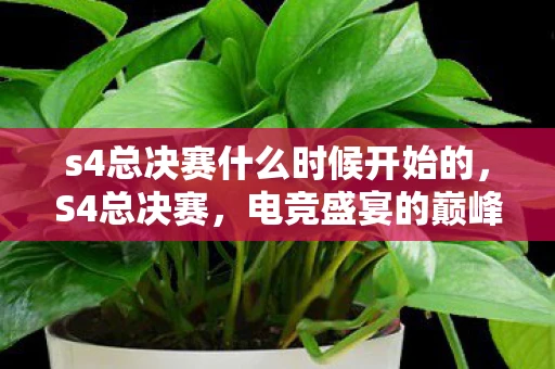 s4总决赛什么时候开始的，S4总决赛，电竞盛宴的巅峰对决