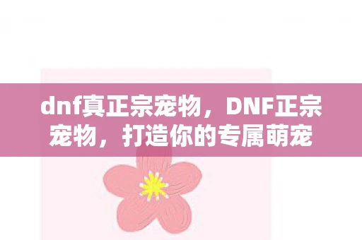 dnf真正宗宠物，DNF正宗宠物，打造你的专属萌宠