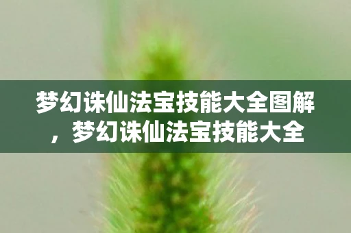 梦幻诛仙法宝技能大全图解，梦幻诛仙法宝技能大全