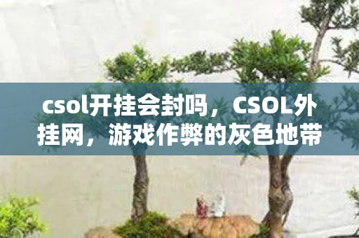 csol开挂会封吗,CSOL外挂网,游戏作弊的灰色地带 csol开挂会封吗,CSOL外挂网,游戏作弊的灰色地带