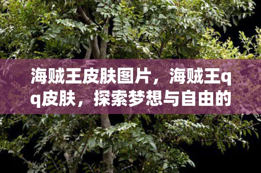 海贼王皮肤图片，海贼王qq皮肤，探索梦想与自由的航海之旅