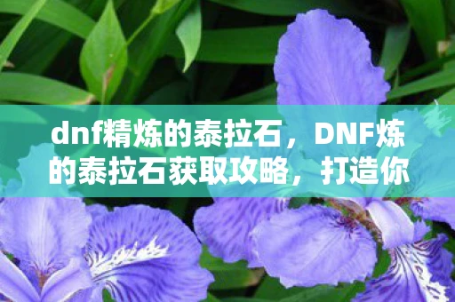 dnf精炼的泰拉石，DNF炼的泰拉石获取攻略，打造你的财富之路