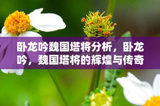 卧龙吟魏国塔将分析,卧龙吟,魏国塔将的辉煌与传奇 卧龙吟魏国塔将分析,卧龙吟,魏国塔将的辉煌与传奇