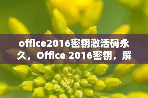 office2016密钥激活码永久,Office 2016密钥,解锁高效办公的钥匙 office2016密钥激活码永久,Office 2016密钥,解锁高效办公的钥匙