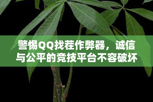 警惕QQ找茬作弊器，诚信与公平的竞技平台不容破坏